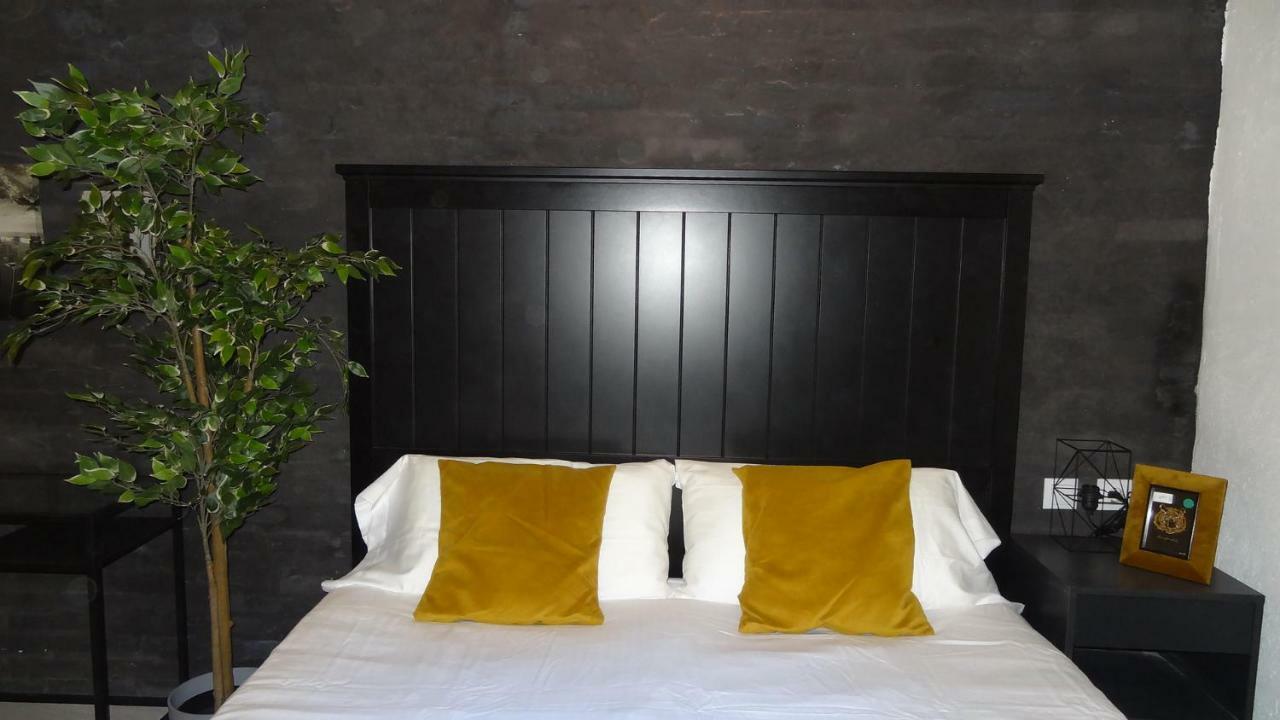 Hotel Florista Bonito Alojamiento Bien Comunicado Valencie Exteriér fotografie